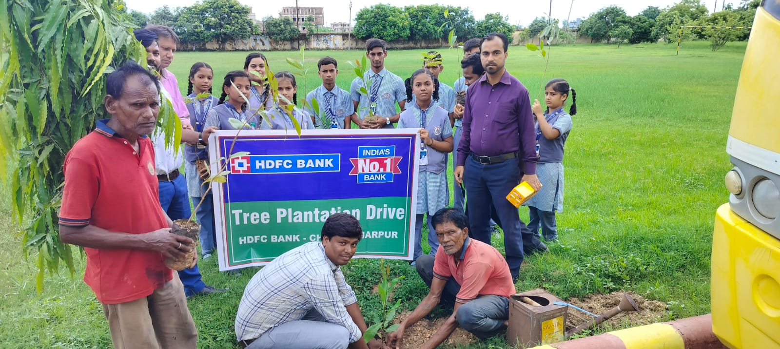 Tree Plantation